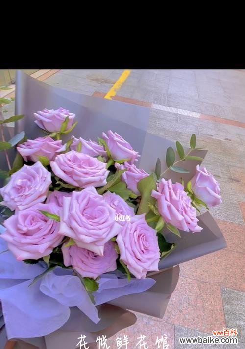 探索紫色玫瑰花背后的深刻内涵 紫色玫瑰的寓意和象征意义