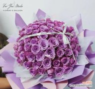 美丽与神秘的紫色玫瑰 紫色玫瑰的寓意与象征意义