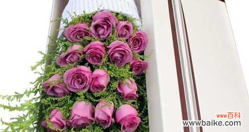 探索紫玫瑰背后的深意 紫玫瑰花语的象征与寓意