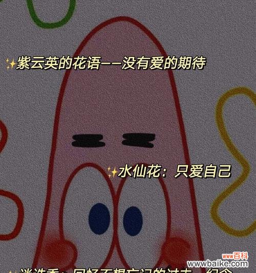 橙子作为水果的花语有哪些?