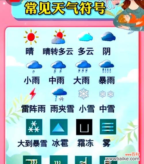 了解天气的花语有何寓意？