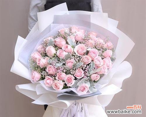 毛茸花束的花语是什么意思?它传递了怎样的情感?