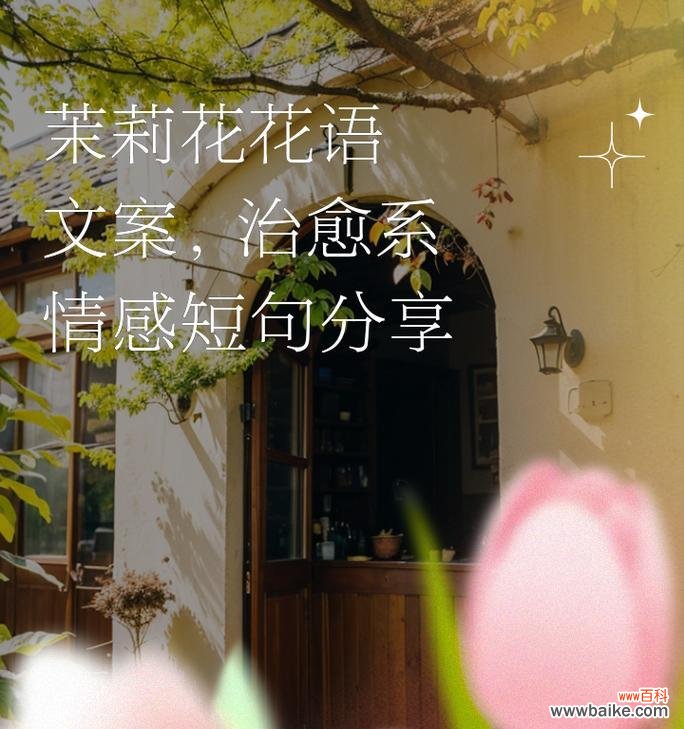 哪些花的花语象征着重逢？