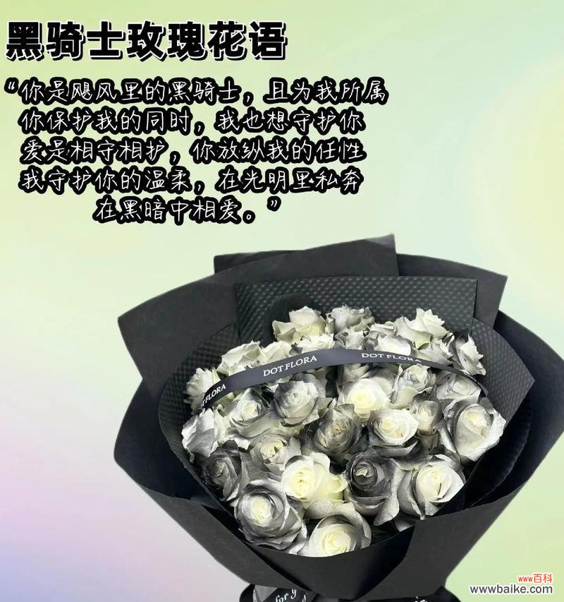 520送骑士玫瑰代表什么含义?