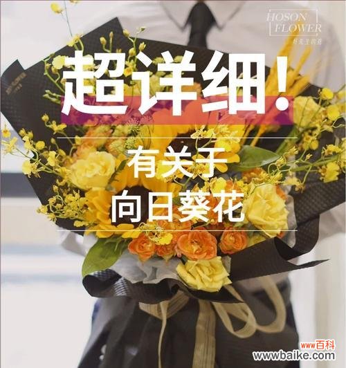 狮子座偏爱哪些花的花语含义?