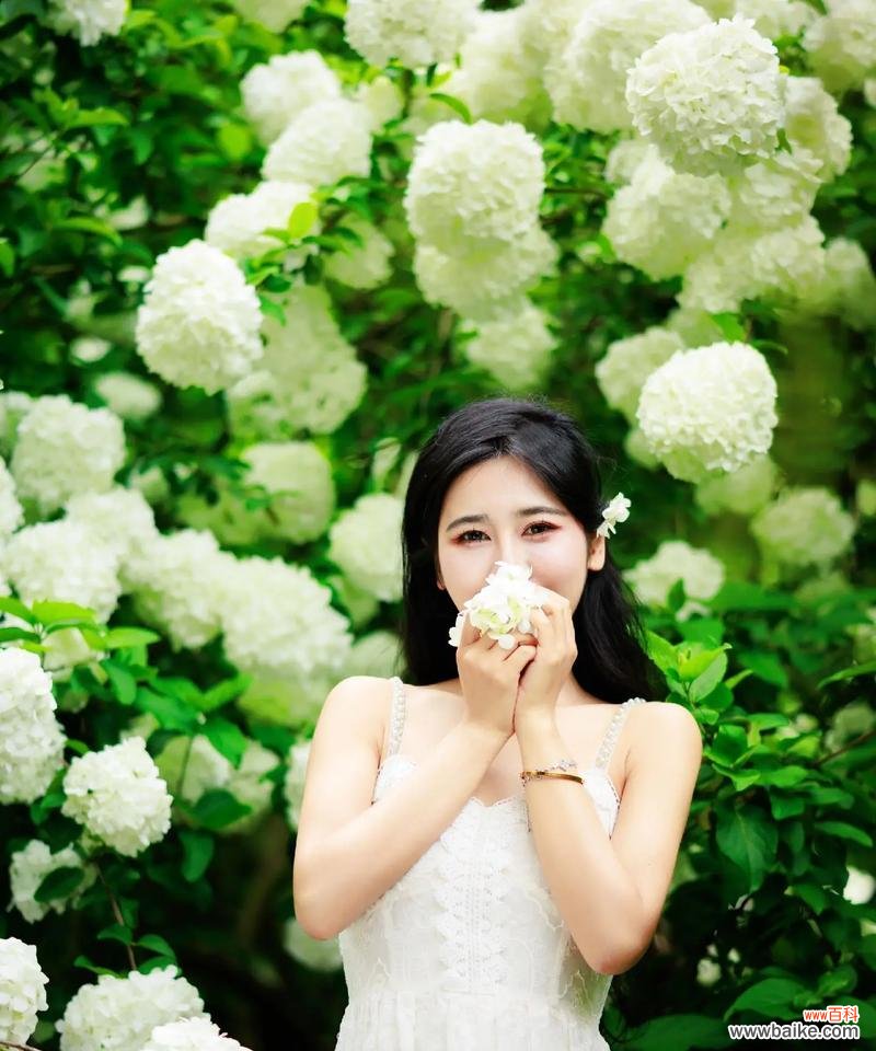 哪种花语充满希望和积极?