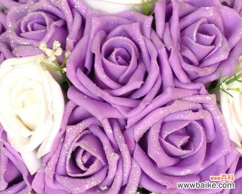 探寻紫色玫瑰的意义与传说 紫色玫瑰