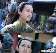 马可的花语是什么？马可花象征着什么？