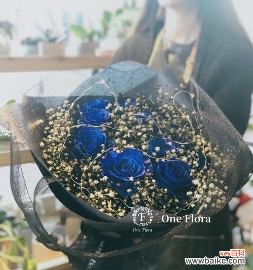 黑纱玫瑰在花语中代表什么？