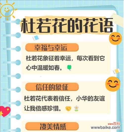 “很荣幸”花语属于哪种花？