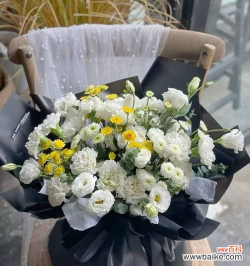 探寻白菊的深刻含义，了解它所传递的情感和价值观 白菊的花语及其象征意义