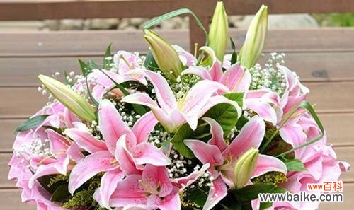 探索友情花海，发现真挚友谊的力量 友情之花