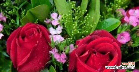 探寻花语的深层含义，解读最浪漫的花语 花语的浪漫魅力