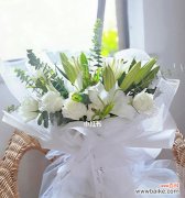 探秘白百合的花语之美 白百合的花语