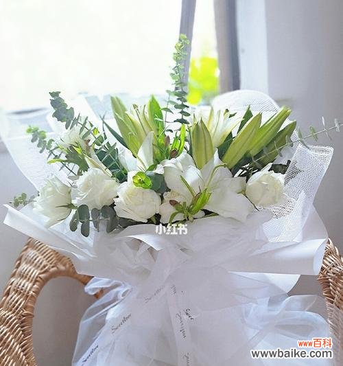 探秘白百合的花语之美 白百合的花语