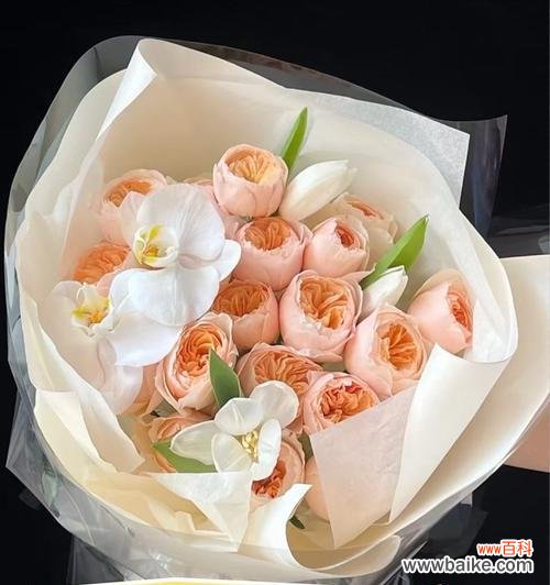 人美心善花语是什么?哪种花代表美丽与善良?