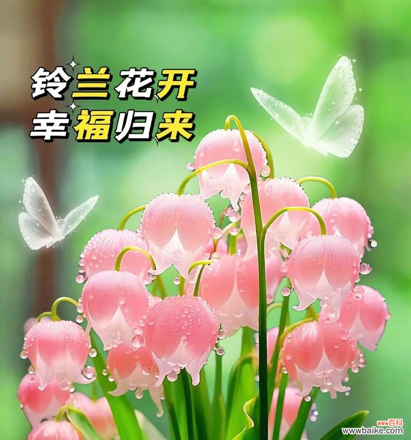 铃兰花的害羞寓意是什么?