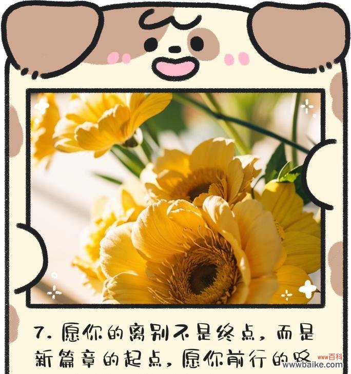 哪种花代表别离？花语中别离的含义是什么？