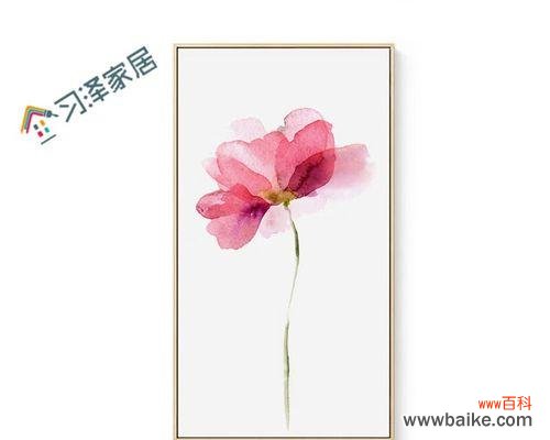 极简风格的花语有何深意?