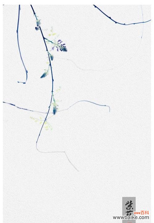 极简风格的花语有何深意?