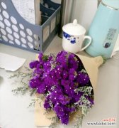 白星花的花语和寓意是什么？它象征着什么？