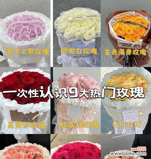 粉花瓣玫瑰的花语是什么？它代表了什么？