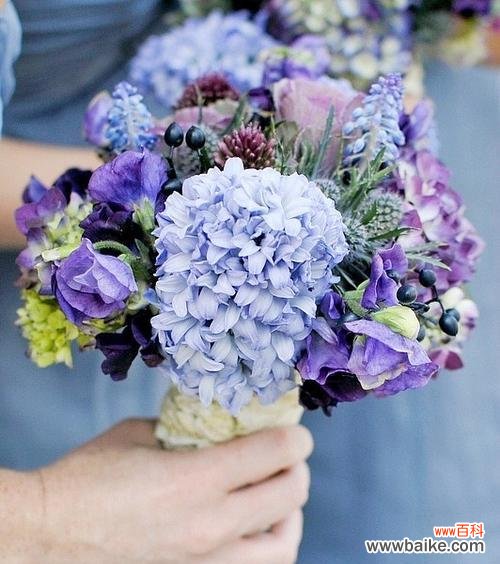 用花语诠释美好生活的关键 白色风信子的花语——纯洁与希望