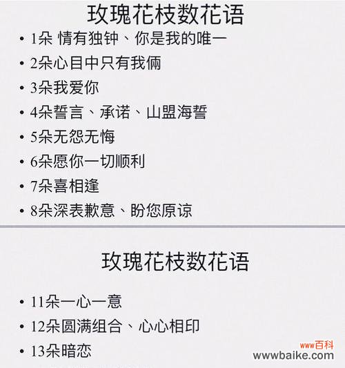 玫瑰花热恋的花语应该如何表达？