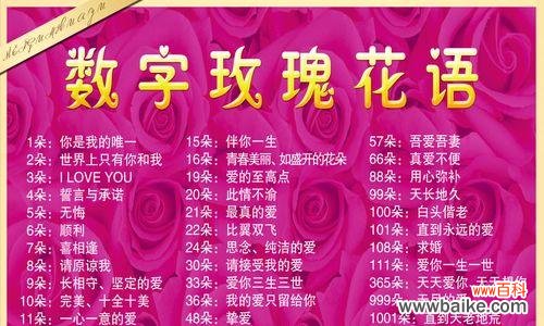 玫瑰花热恋的花语应该如何表达？