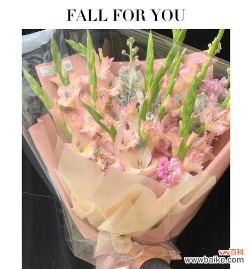 哪种花语最能表达牵挂之情?