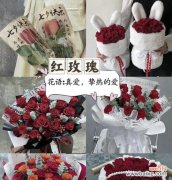 哪种花语最能表达牵挂之情？