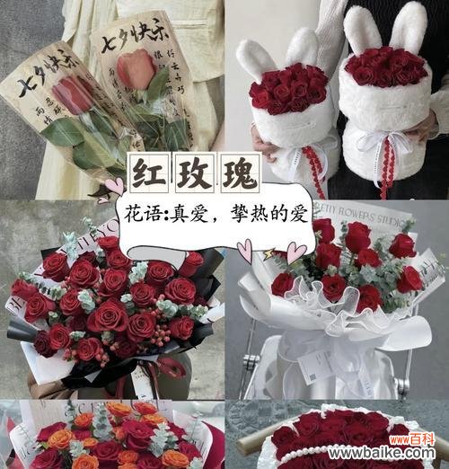 哪种花语最能表达牵挂之情?