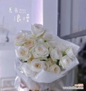 网名中白玫瑰通常代表什么含义？