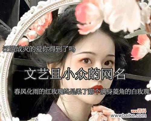 网名中白玫瑰通常代表什么含义？