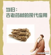 当归是什么花语？当归在花语中承载了哪些意义？