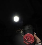 暗夜象征的花语有何深意？