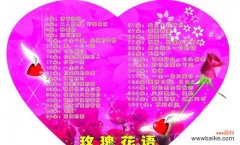 玫瑰花的花语是什么？它代表了哪些情感？