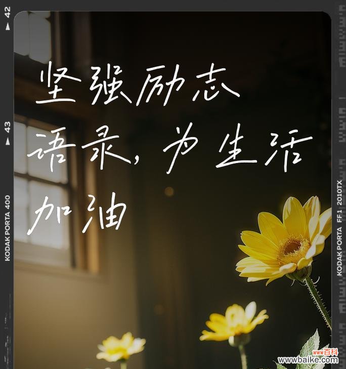 坚强不懈的花语是什么?这种花语如何激励我们面对困难?