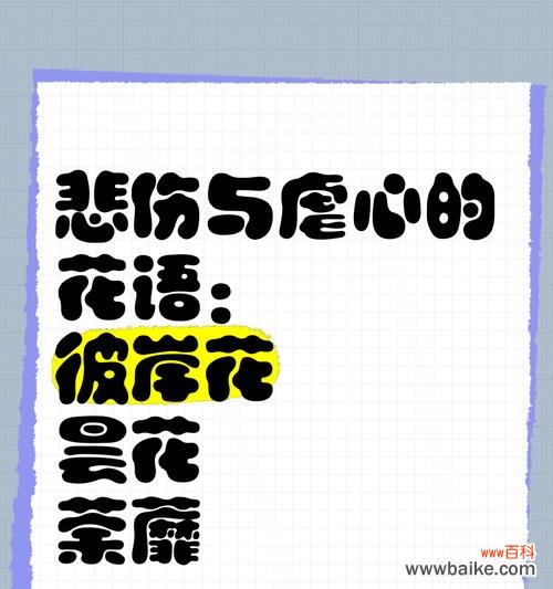 “明媚的悲伤”花语代表什么?