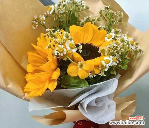 小孩看到玫瑰花意味着什么？玫瑰花在儿童眼中的象征是什么？