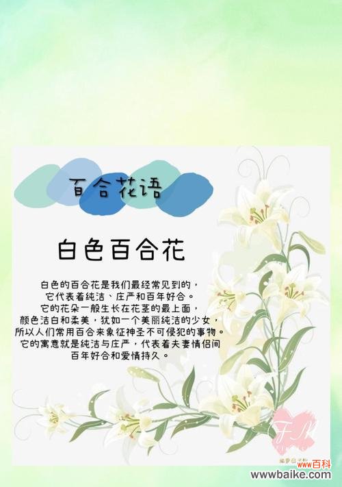 十里温柔的花语是什么花?它传递了怎样的情感?