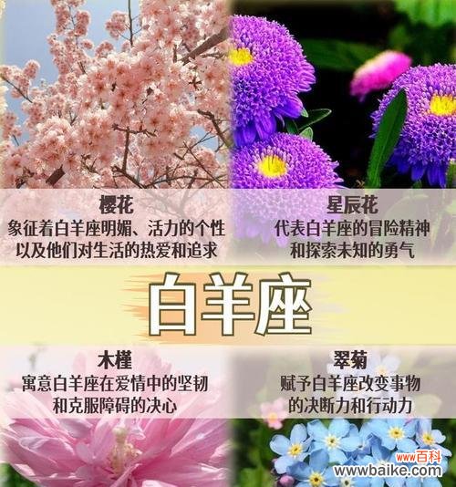 哪种花的花语代表相忘?