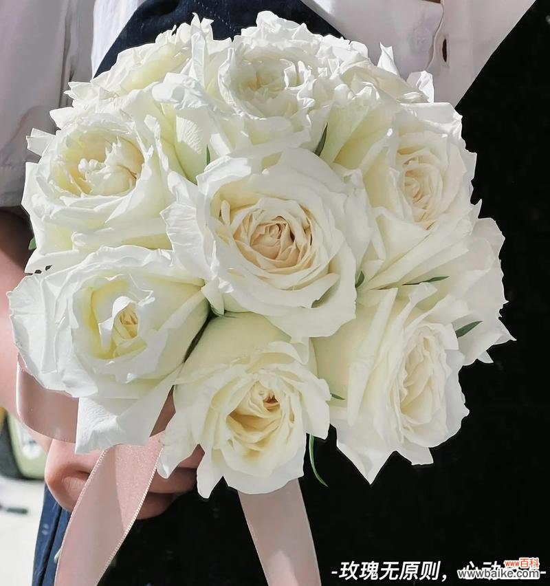 33朵白色玫瑰花的花语是什么？