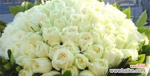 33朵白色玫瑰花的花语是什么？