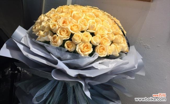 手榴弹花语有何深意？它代表了什么？