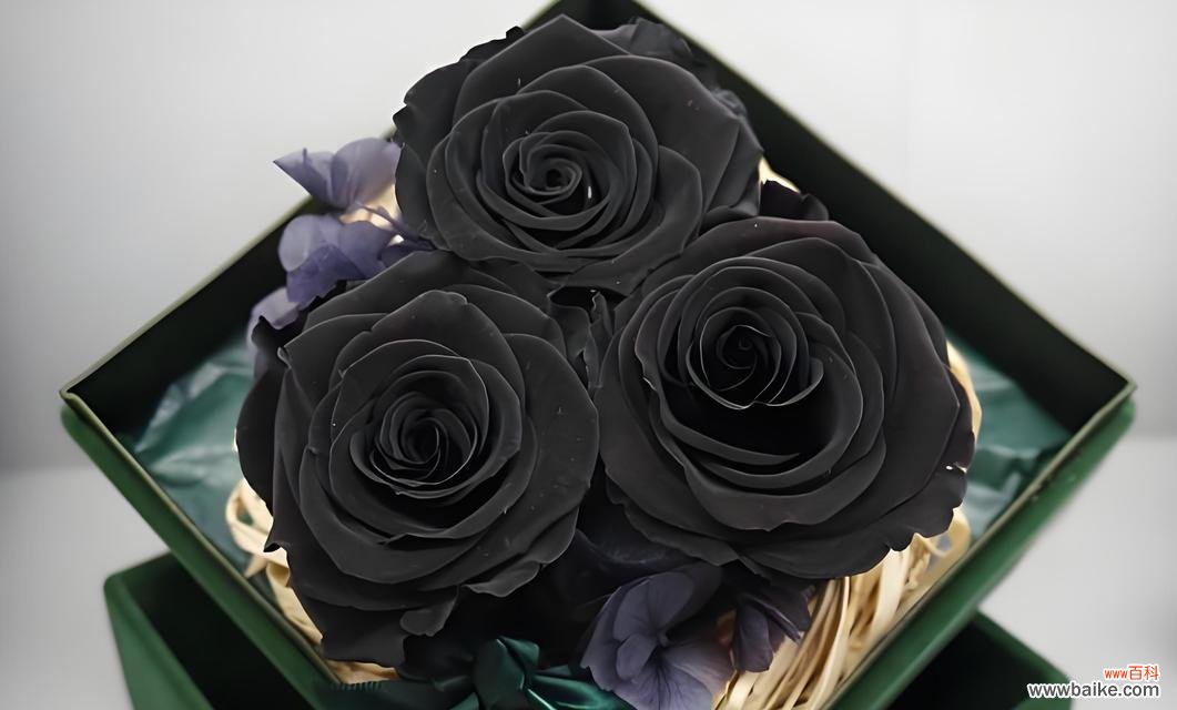 自制玫瑰花礼物时应该搭配什么花语？