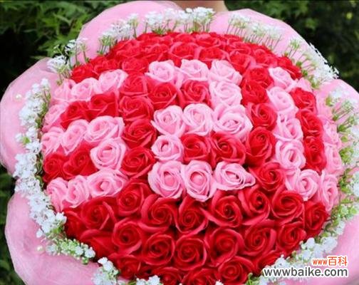 一朵玫瑰的花语是什么?玫瑰朵花代表什么情感?