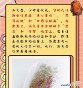花语和家庭有关的成语是什么？有哪些成语与花语相关？
