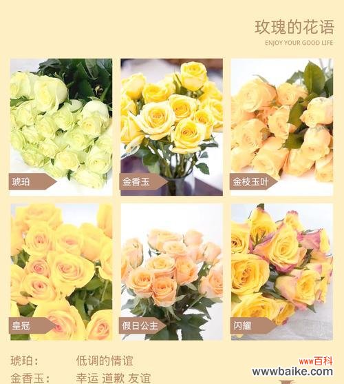 金玫瑰花的花语和寓意是什么?