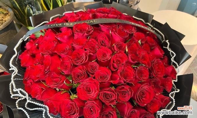 玫瑰表白时应该选择哪种花语？